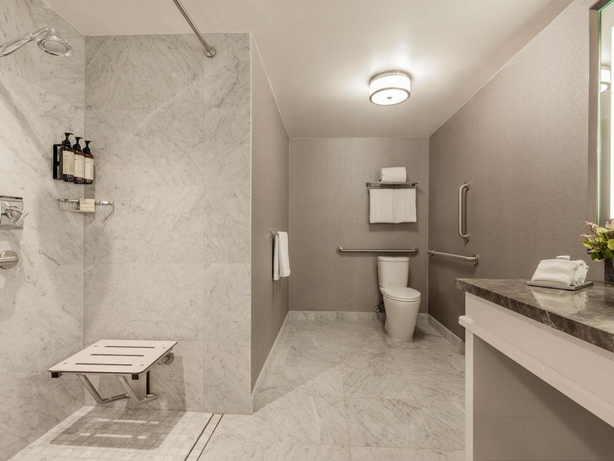 Deluxe King Room Roll Shower Disability Access